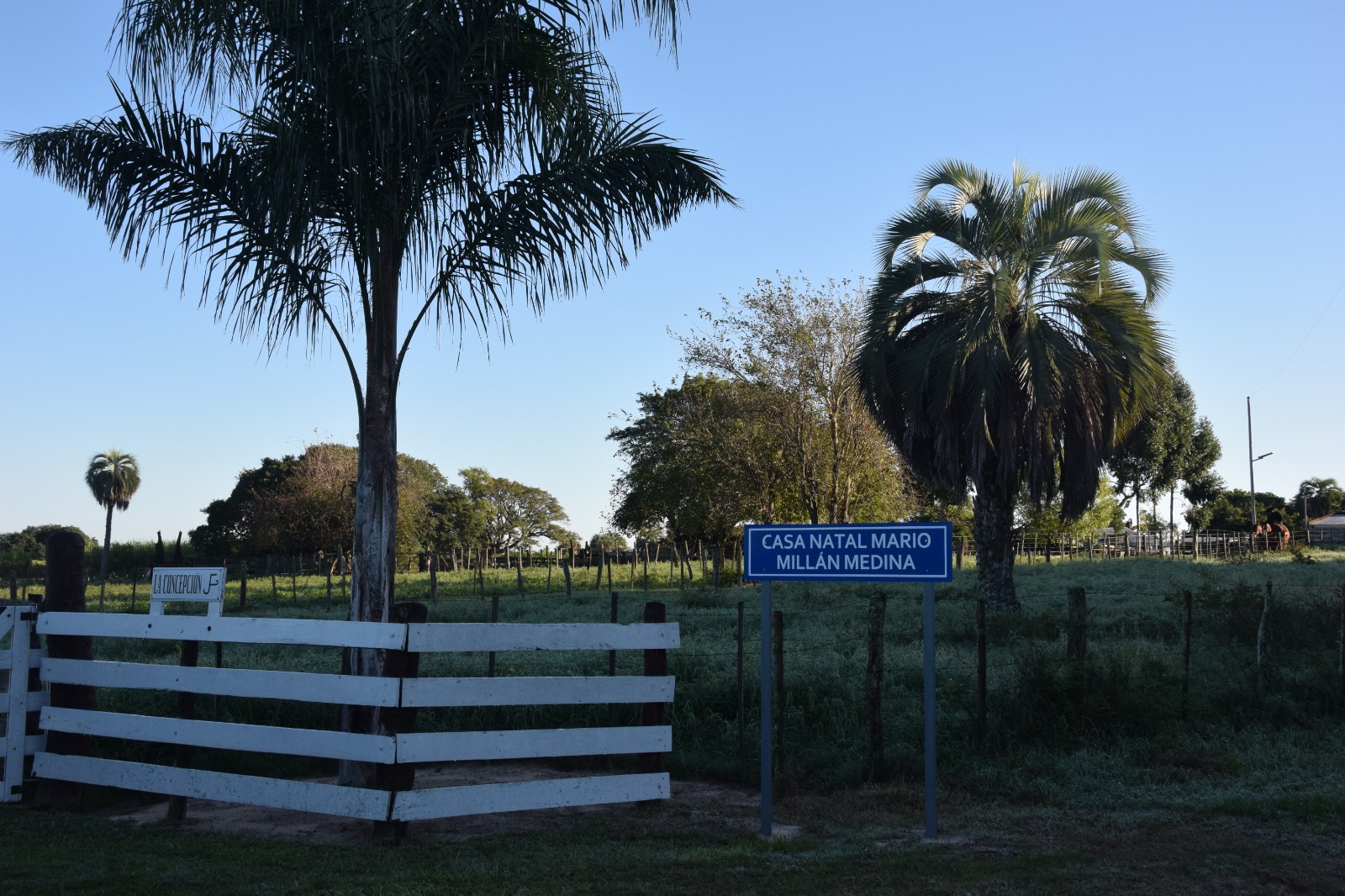 Homenaje a Mario Millan Medina en Colonia Porvenir 1