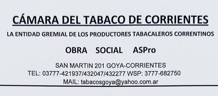 CAMARA DEL TABACO