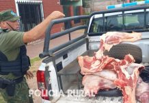POLICÍA DE CORRIENTES DEMORA A SEIS PERSONAS Y SECUESTRA CARNE SILVESTRE RECIEN FAENADA
