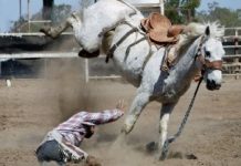 SUPUEUSTAMENTE PIERDE LA VIDA AL CAER DE SU CABALLO
