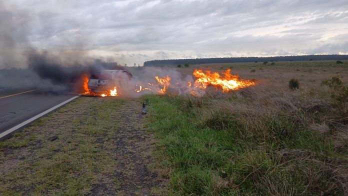 WhatsApp Image 2025-10-28 at 09.21.08