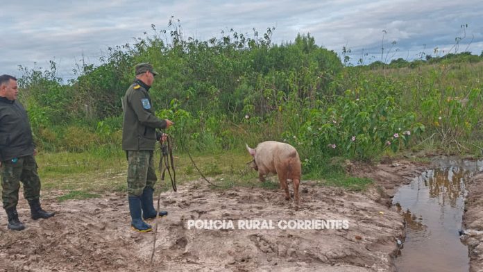 WhatsApp Image 2025-10-30 at 11.25.45