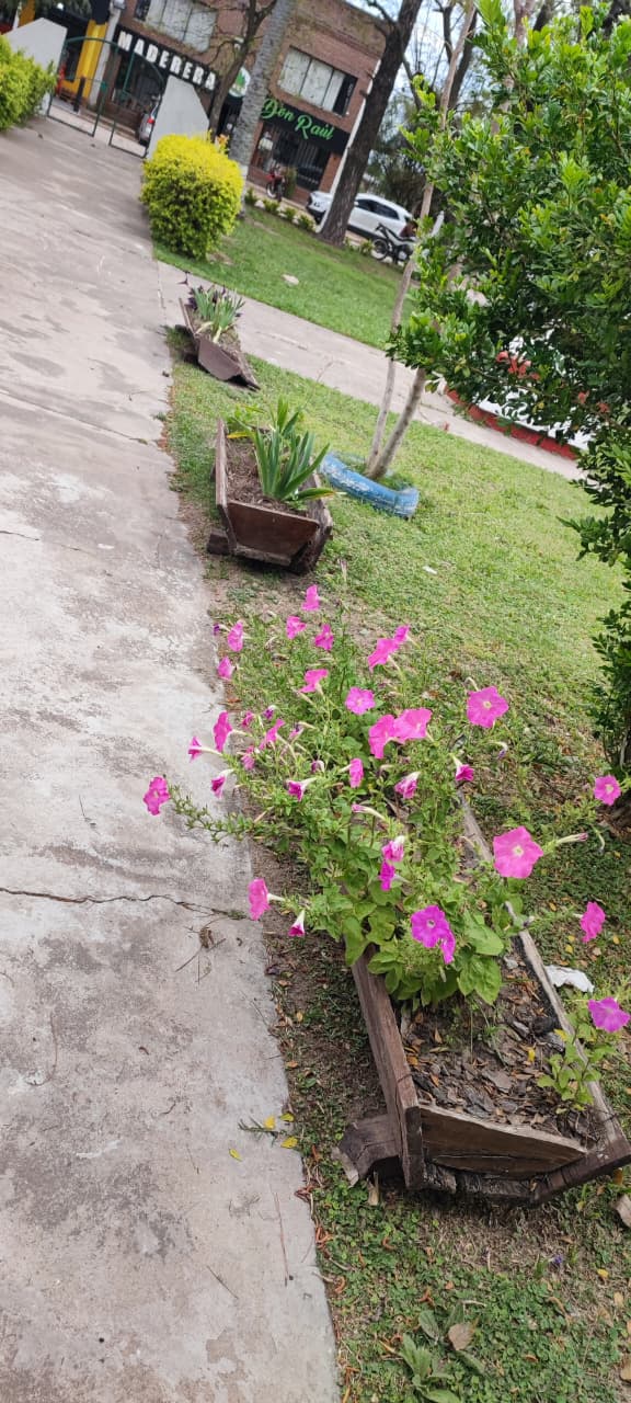 recursos naturales (4)