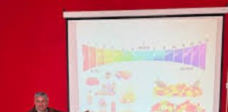 DIRECCIÓN DE BROMATOLOGÍA: CAMPAÑAS DE CONCIENTIZACIÓN, MANIPULACIÓN DE ALIMENTOS Y VACUNACIÓN ANTIRRÁBICA