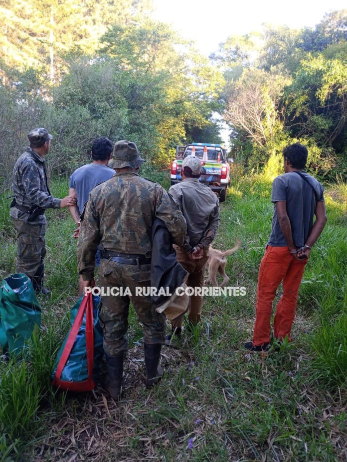 WhatsApp Image 2025-11-06 at 12.44.36