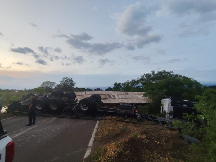 WhatsApp Image 2025-11-12 at 10.41.33