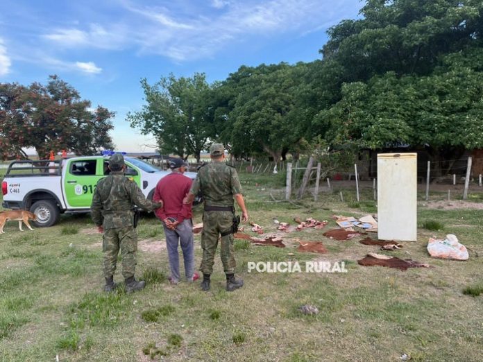 WhatsApp Image 2025-11-12 at 12.41.16 (2)