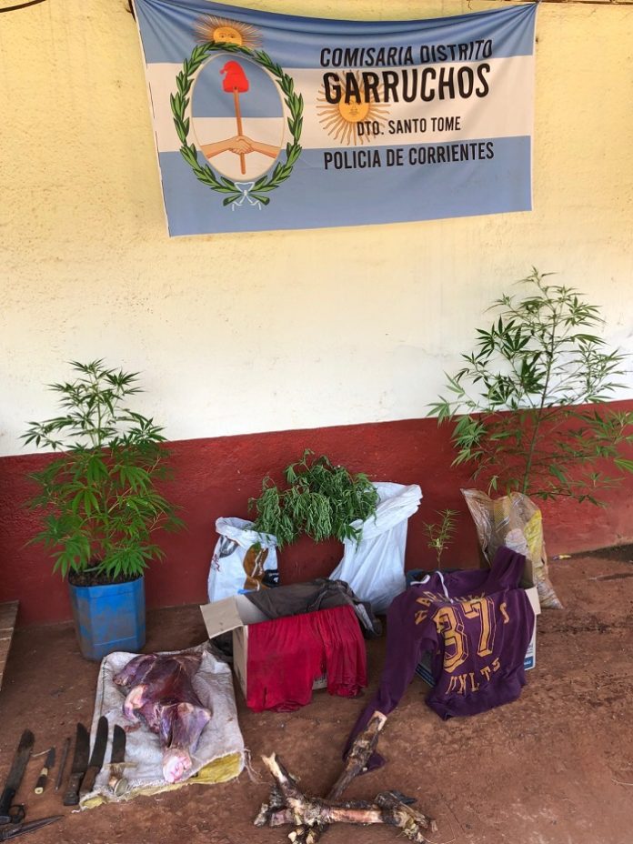 WhatsApp Image 2025-11-14 at 19.58.19 (1)