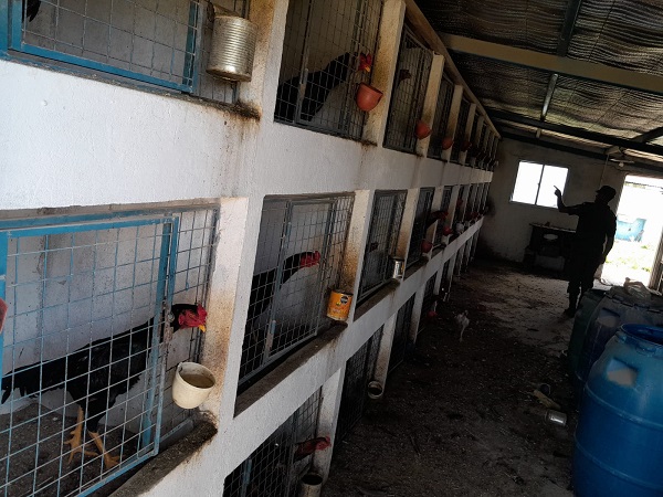 WhatsApp Image 2025-11-28 at 21.25.30