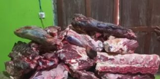 LLEVABAN PRODUCTOS CARNICOS DE DUDOSA PROCEDENCIA EN UNA CAMIONETA