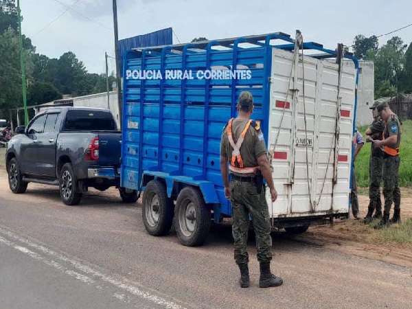 WhatsApp Image 2025-12-03 at 11.39.48