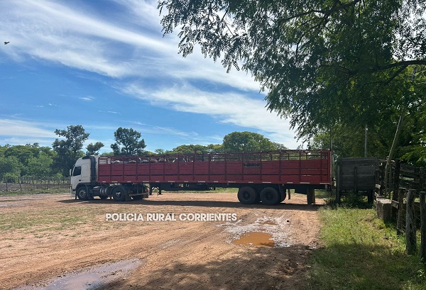 WhatsApp Image 2025-12-12 at 10.38.43