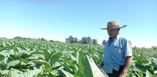 EL IPT RECIBIÓ FONDOS PERTENECIENTES A LA ACTIVIDAD COSECHA