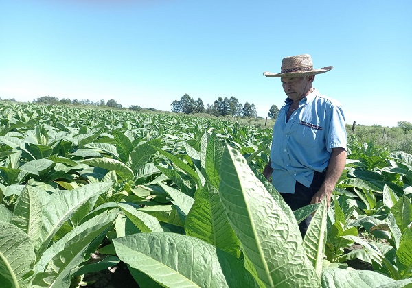 WhatsApp Image 2025-12-15 at 11.45.34