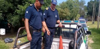 POR MALTRATO A LOS ANIMALES, SECUESTRAN A TRES CANES