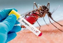 CUIDADO: DENGUE