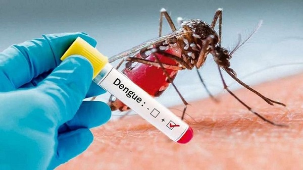 cuidado dengue 02