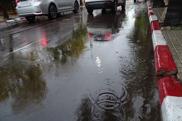ilustracion de la lluvia cadia en Goya 100 mm 3