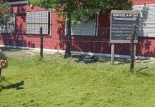 BROMATOLOGÍA E HIGIENE: INFORME DE LOS MESES DE OCTUBRE Y NOVIEMBRE