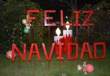 NAVIDAD EN PLAZA MITRE: LUCES, HISTORIAS Y EL ARMADO DETRÁS DEL GRAN ARBOLITO