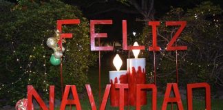 NAVIDAD EN PLAZA MITRE: LUCES, HISTORIAS Y EL ARMADO DETRÁS DEL GRAN ARBOLITO