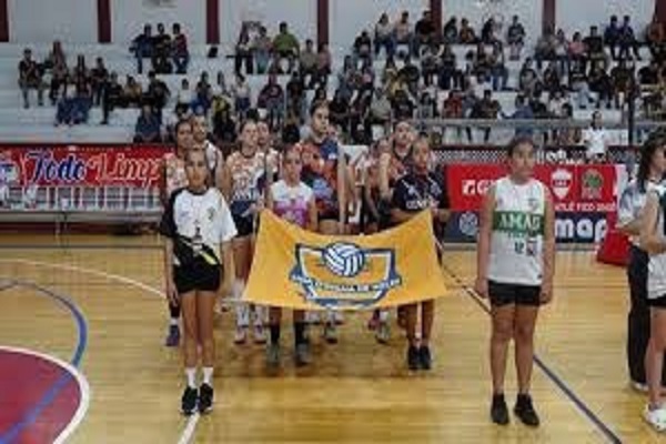 liga de voley juego final y gala ilustracion