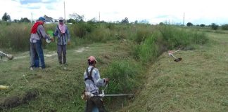 TAREAS PROGRAMADAS DE MANTENIMIENTO EN DISTINTOS BARRIOS DE LA CIUDAD