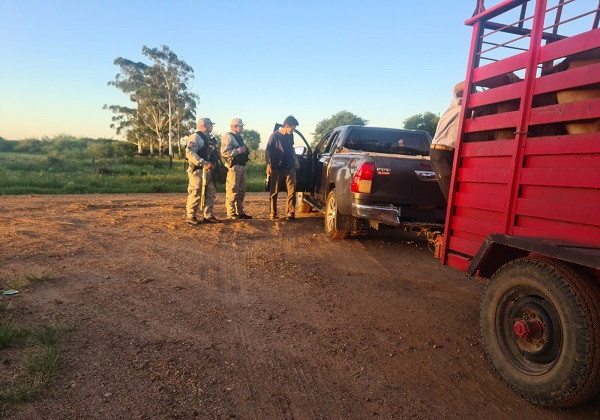 WhatsApp Image 2026-01-22 at 20.29.54 (2)