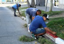 SEÑALIZACIÓN Y PINTURA EN LOS CORDONES DE AVENIDA DE LOS PRIMEROS CONCEJALES