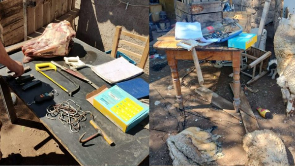 CUEROS Y HERRAMIENTAS