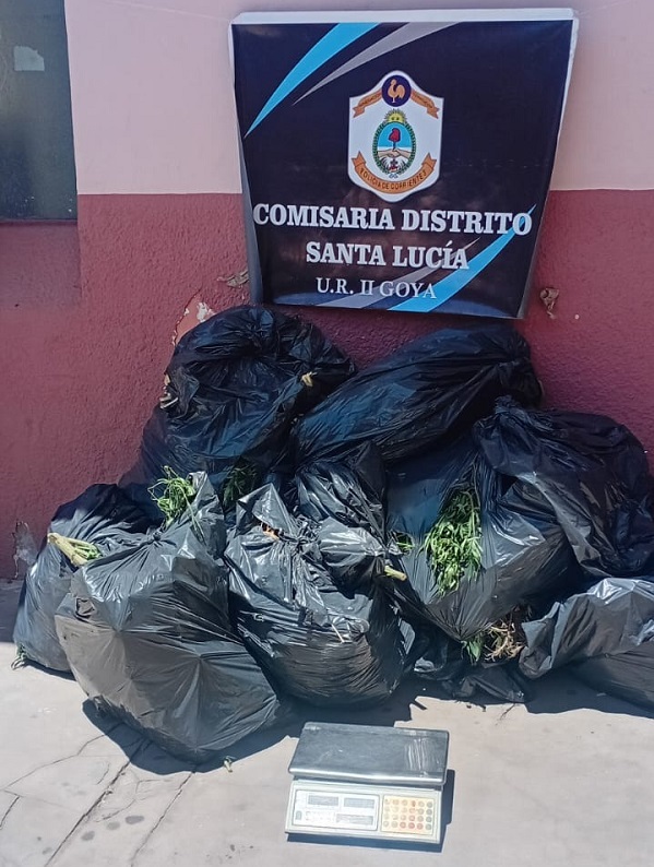 WhatsApp Image 2026-02-04 at 09.01.40