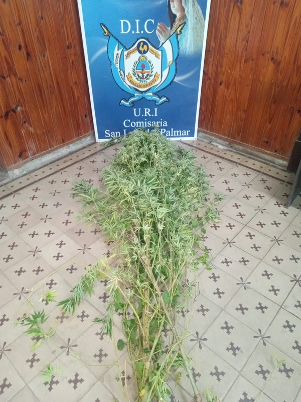 WhatsApp Image 2026-02-13 at 10.12.39