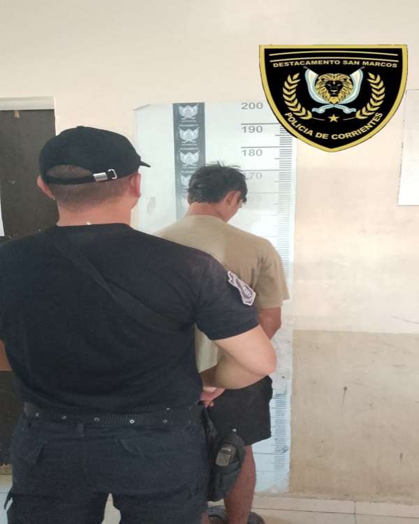 WhatsApp Image 2026-02-17 at 20.22.13