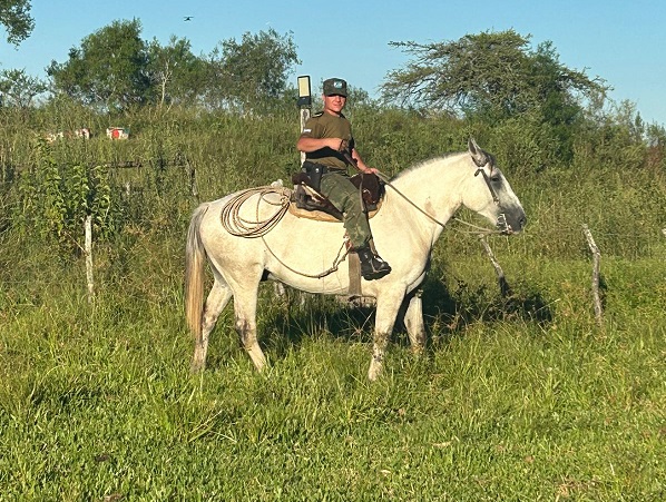 WhatsApp Image 2026-02-17 at 20.22.18