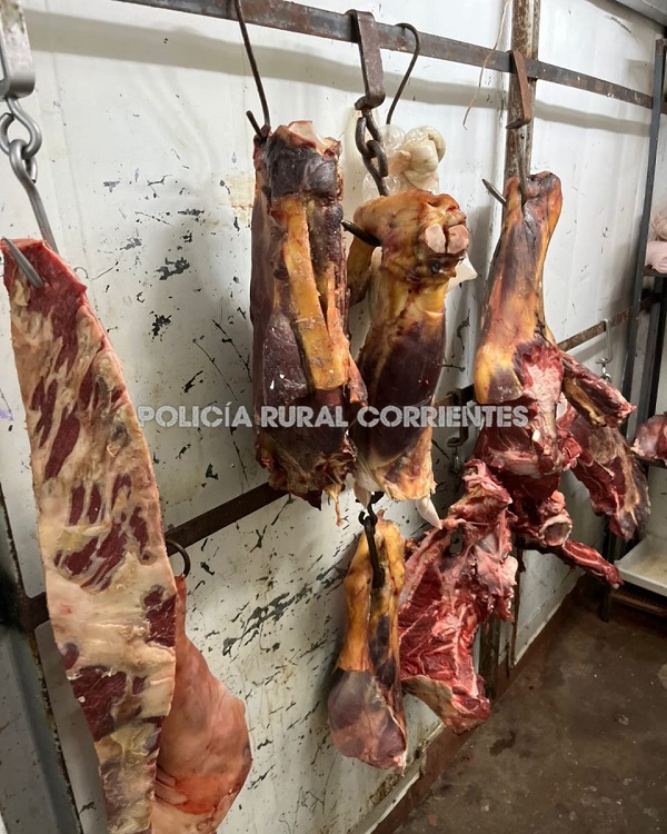 WhatsApp Image 2026-02-24 at 12.08.32