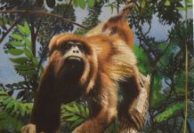 EL ARTE DE LA NATURALEZA