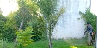 PARQUIZACIÓN, CORTE DE PASTO Y MEJORAS EN EL JARDÍN JIN N° 10 “BRUJITAS ENCANTADAS” DEL PARAJE LA SOLEDAD