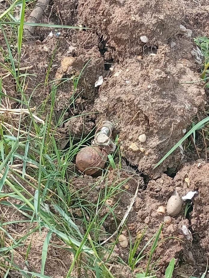 WhatsApp Image 2026-04-06 at 07.01.39