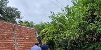 PARA ALGUNOS, CUALQUIER COSA ES BUENA PARA ROBAR