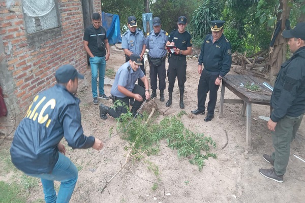 WhatsApp Image 2026-04-08 at 22.23.39