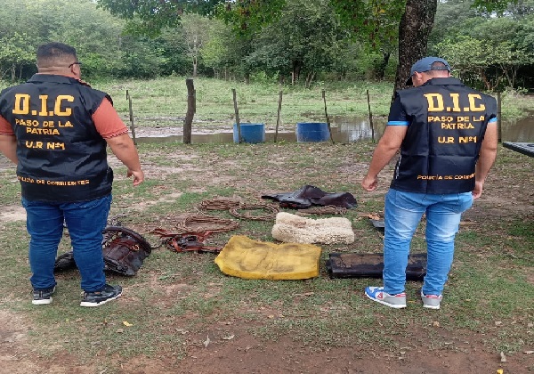 WhatsApp Image 2026-04-13 at 19.38.53 (1)