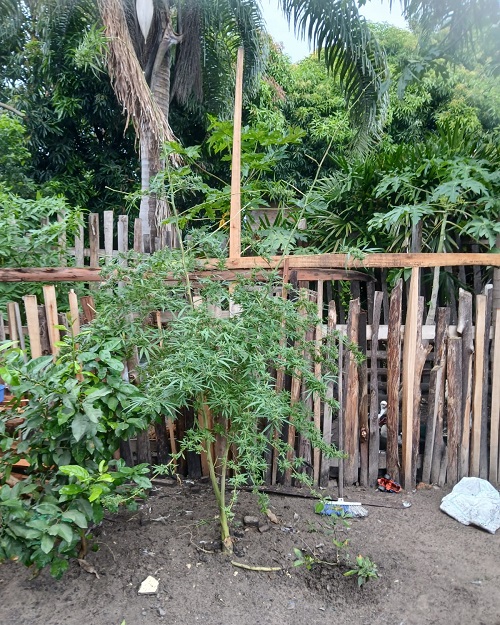 WhatsApp Image 2026-04-15 at 08.04.50