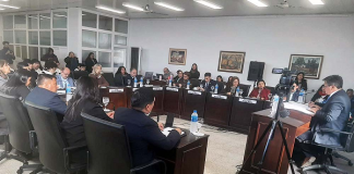 EL CONCEJO DELIBERANTE DE NUESTRA CIUDAD APROBÓ ORDENANZA SOBRE MICROMOVILIDAD EN LA CIUDAD DE GOYA