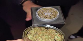 PASO DE LOS LIBRES: SECUESTRAN MARIHUANA Y DETIENEN UNA PERSONA
