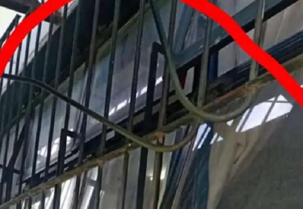 INTENTAN ROBAR LAS REJAS