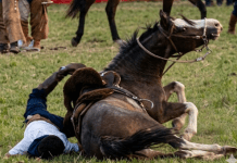 EMPEDRADO: SE INVEVSTIGA LAS CAUSAS Y CIRCUNSTANCIAS DE QUE UN HOMBRE FALLECIERA TRAS HABER CAÍDO DE UN EQUINO (información inicial)