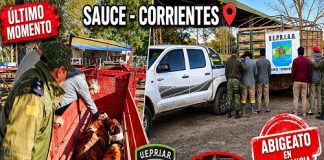 SAUCE: DETIENEN EN FLAGRANCIA A TRES HOMBRES POR PRESUNTO ABIGEATO; UNO ES HERMANO DEL PRESIDENTE DE LA SOCIEDAD RURAL LOCAL