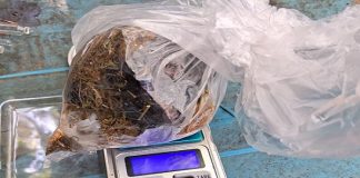 CAA CATI: EN ALLANAMIENTO REALIZADO POR LA PÓLICIA DE CORRIENTES SE DESARTICULO KIOSCO DE VENTA DE DROGAS