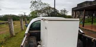 ALVEAR: DETIENEN A UNA PERSONA, SECUESTRAN UNA CAMIONETA Y UN FREEZER CON CARNE VACUNA