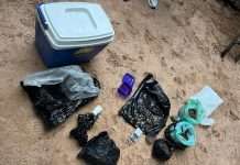 LORETO : EN UN ALLANAMIENTO POLICIAL DETIENEN A UNA PERSONA Y SECUESTRAN CASI 1 KILO DE MARIHUANA